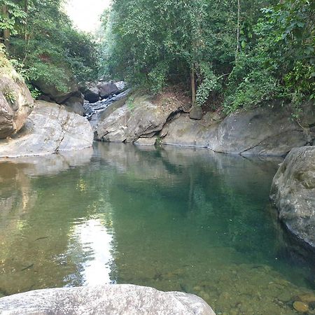 Gallene Gala Nature Resort Kitulgala Ngoại thất bức ảnh