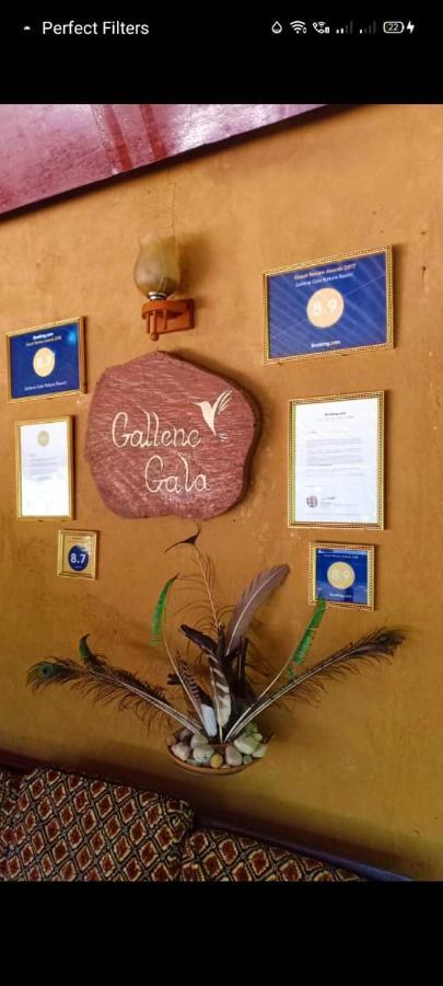 Gallene Gala Nature Resort Kitulgala Ngoại thất bức ảnh