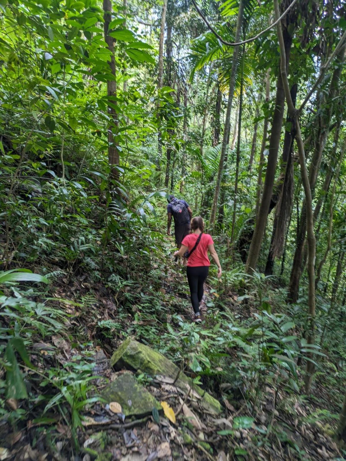 Gallene Gala Nature Resort Kitulgala Ngoại thất bức ảnh