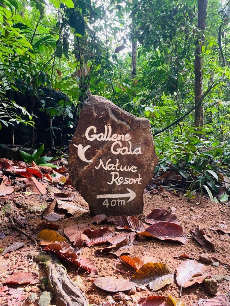 Gallene Gala Nature Resort Kitulgala Ngoại thất bức ảnh