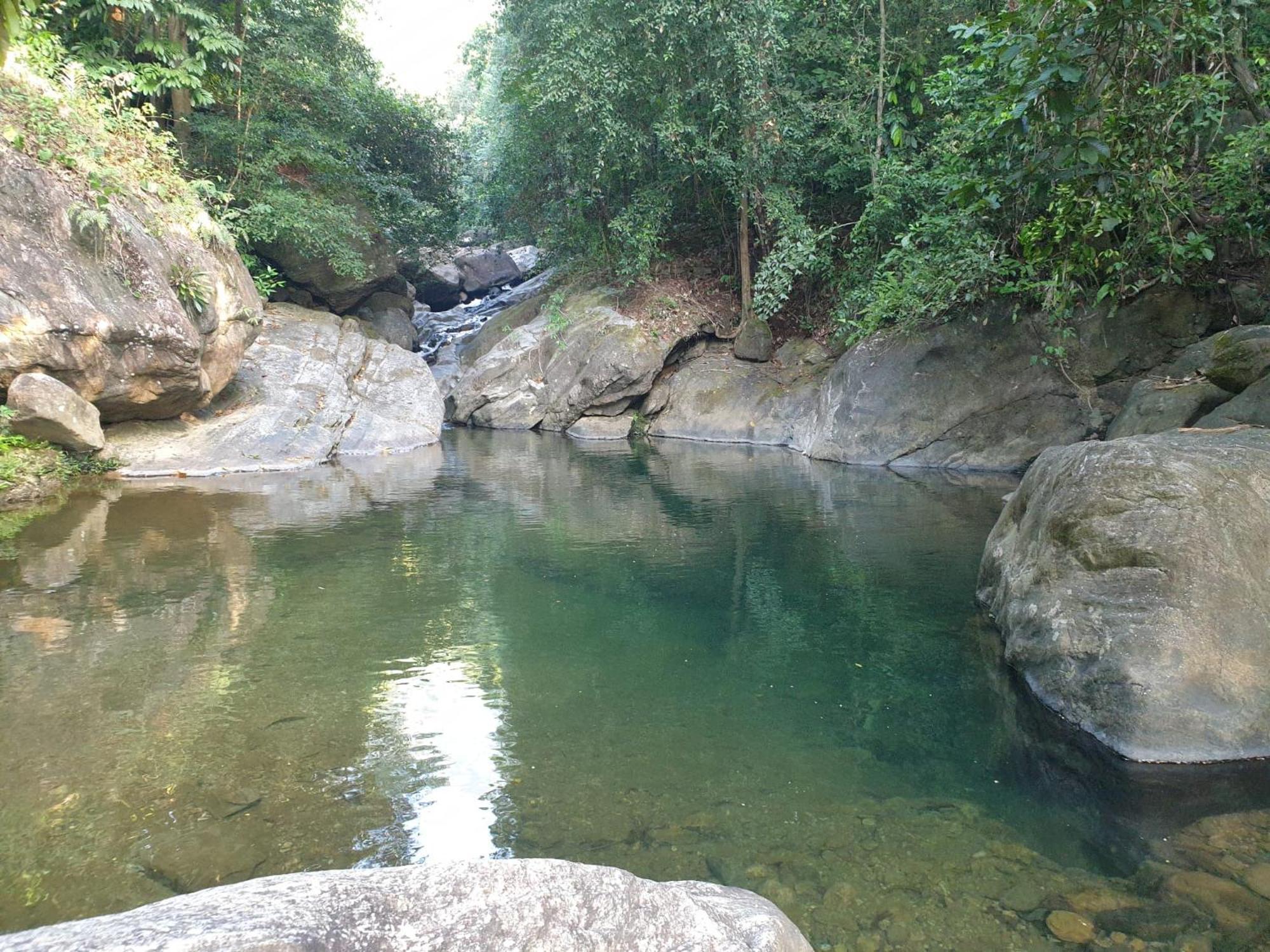 Gallene Gala Nature Resort Kitulgala Ngoại thất bức ảnh