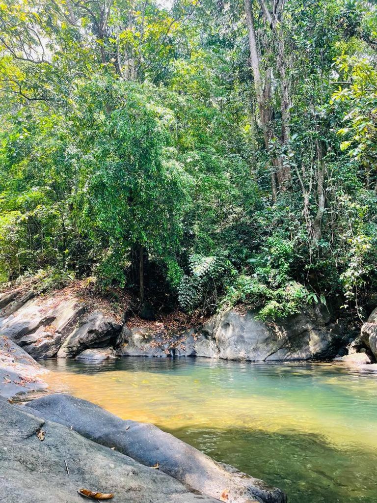 Gallene Gala Nature Resort Kitulgala Ngoại thất bức ảnh