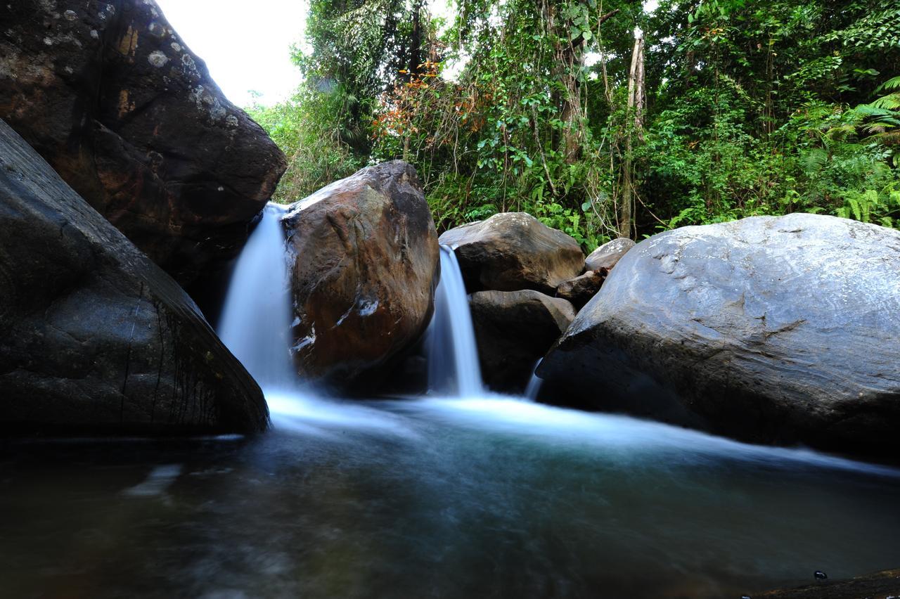 Gallene Gala Nature Resort Kitulgala Ngoại thất bức ảnh