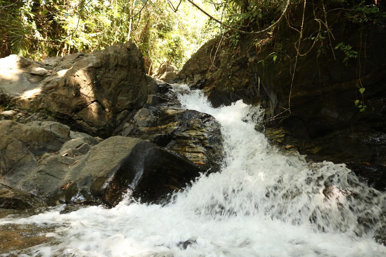 Gallene Gala Nature Resort Kitulgala Ngoại thất bức ảnh