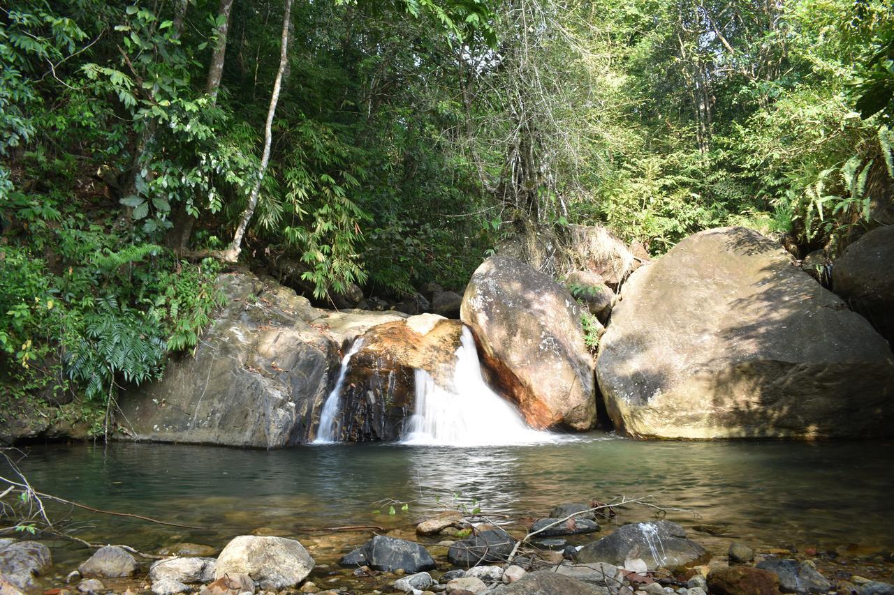 Gallene Gala Nature Resort Kitulgala Ngoại thất bức ảnh