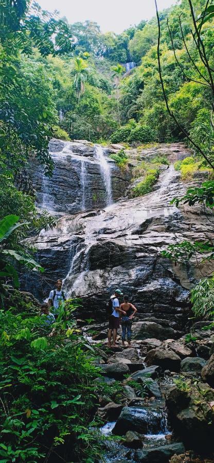 Gallene Gala Nature Resort Kitulgala Ngoại thất bức ảnh